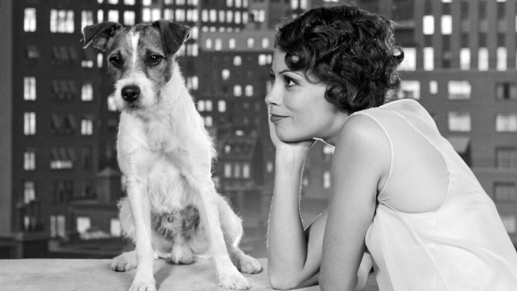 Ces animaux célèbres : Uggie