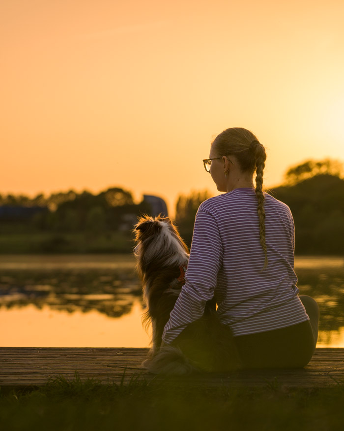 Séance photo pour animaux de compagnie chien, chat, cheval, nac. Photographe animalier