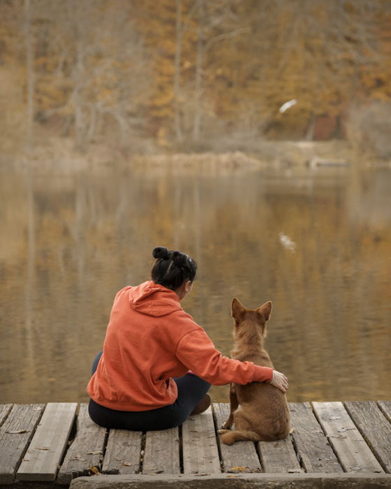 Forêt de Meudon : une balade avec son chien Photographe chien, chat, cheval, nac Photographe Paris et Île de France