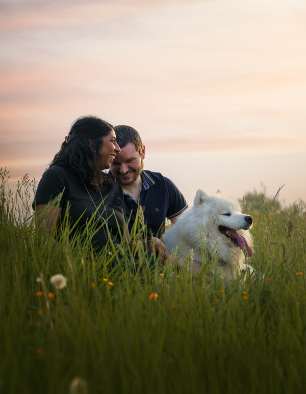 Shooting photo pour animaux de compagnie chien, chat, cheval, nac. Photographe animalier à Pontault-Combault à 40min de Paris