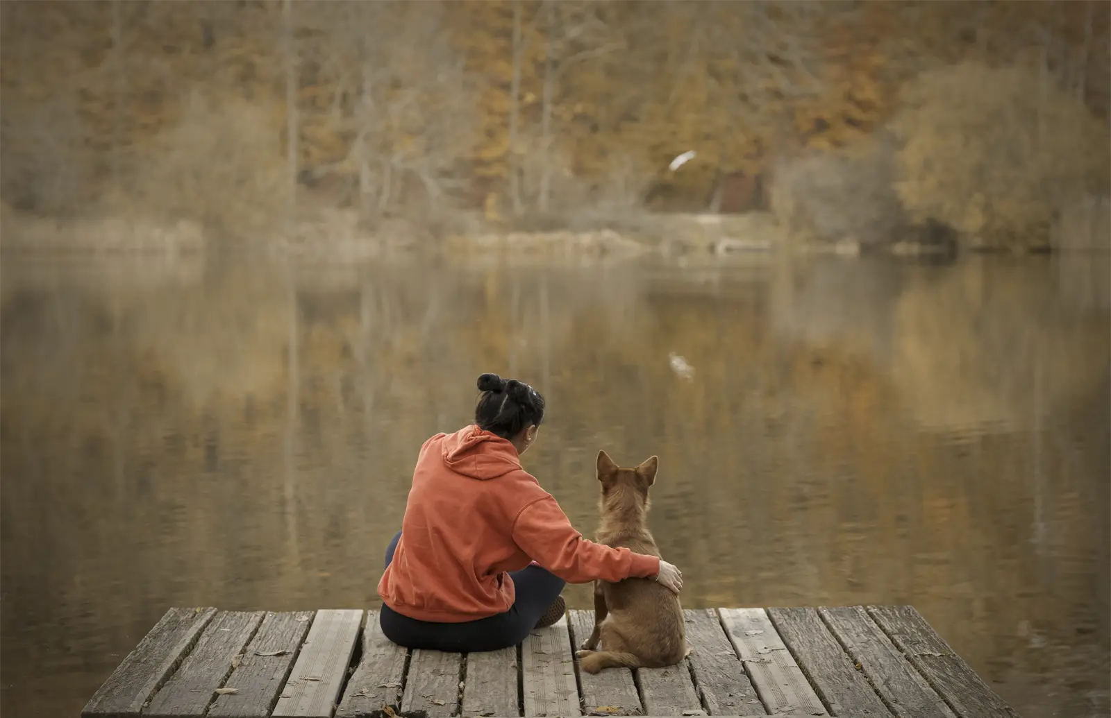 Shooting photo chien à la Forêt de Meudon