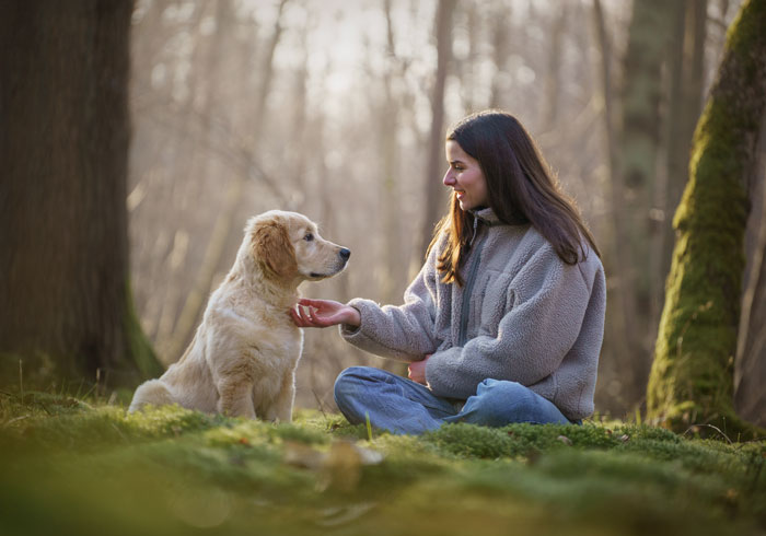 Séance photo pour chien, chat, cheval, nac. Photographe animaux de compagnie à Pontault-Combault en Seine-et-Marne