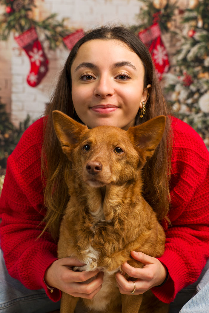Séance photo en studio Noël pour chien, chat, cheval, nac. Photographe animaux de compagnie à Pontault-Combault en Seine-et-Marne