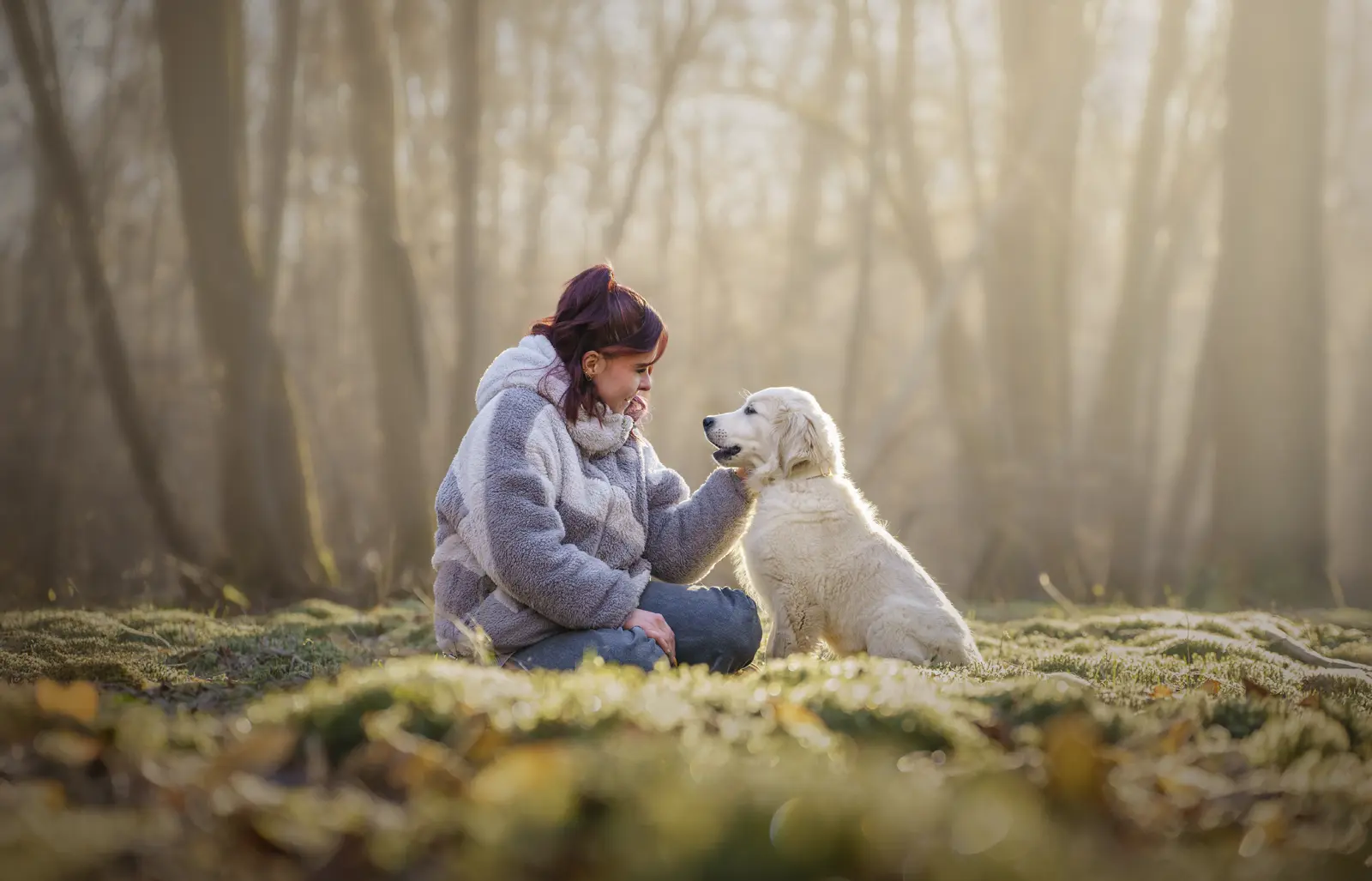 Shooting photo pour chien, chat, cheval, nac et animaux. Photographe animalier à Pontault-Combault proche de Paris. Photographe chien