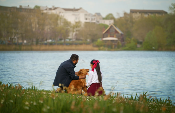 Séance photo pour chien, chat, cheval, nac. Photographe animaux de compagnie à Pontault-Combault en Seine-et-Marne