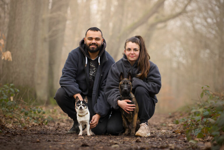 Shooting photo pour animaux de compagnie chien, chat, cheval, nac. Photographe animalier à Pontault-Combault proche de Paris