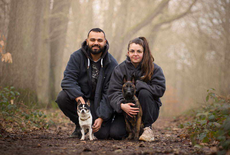 Shooting photo pour animaux de compagnie chien, chat, cheval, nac. Photographe animalier à Pontault-Combault proche de Paris