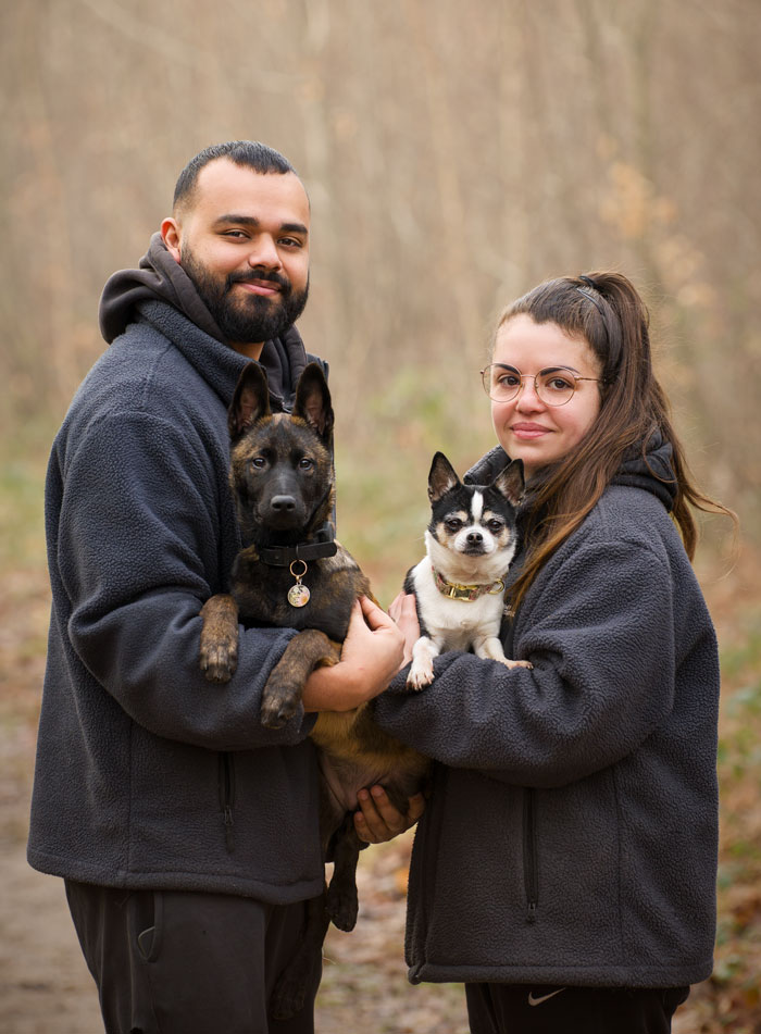 Shooting photo pour animaux de compagnie chien, chat, cheval, nac. Photographe animalier à Pontault-Combault proche de Paris