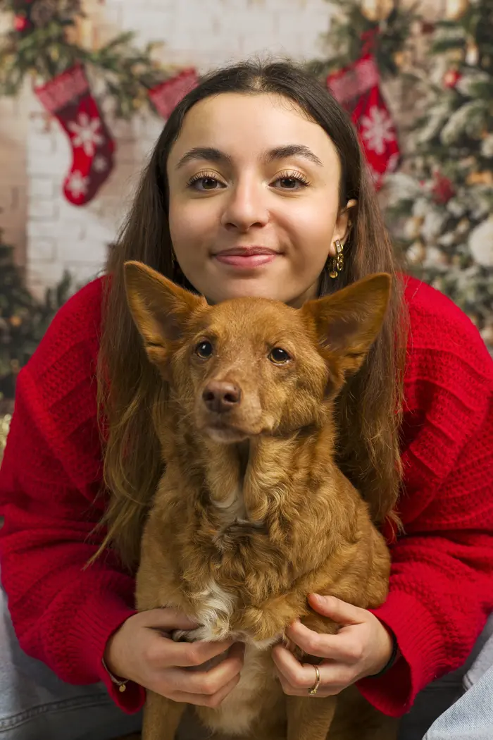 Shooting photo Noël chien en studio. Photographe animalier à Pontault-Combault proche de Paris.