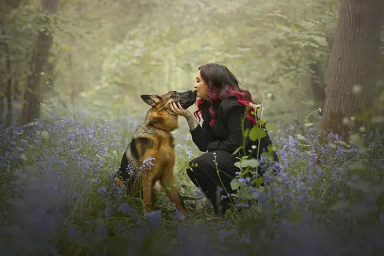 Séance photo chien berger allemand et sa maîtresse au bois de Taverny